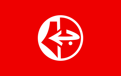 Ficheiro:Flag of PFLP.svg