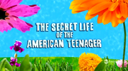 Miniatura para The Secret Life of the American Teenager