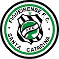 Escudo Figueirense 1979.jpeg