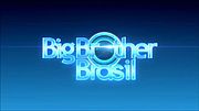 Miniatura para Big Brother Brasil 14