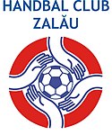 Fișier:HC Zalau.jpg