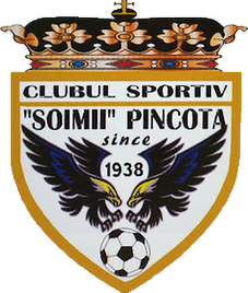 Fișier:Soimii Panacota logo.png