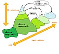 Miniatură pentru versiunea din 10 iulie 2009 13:44