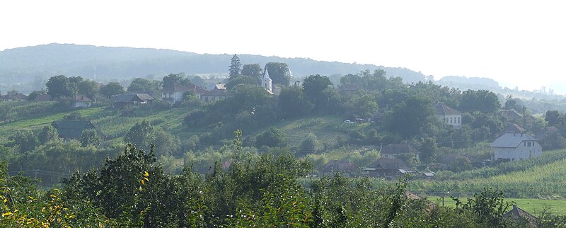 Fișier:PanoramaSalatig.jpg