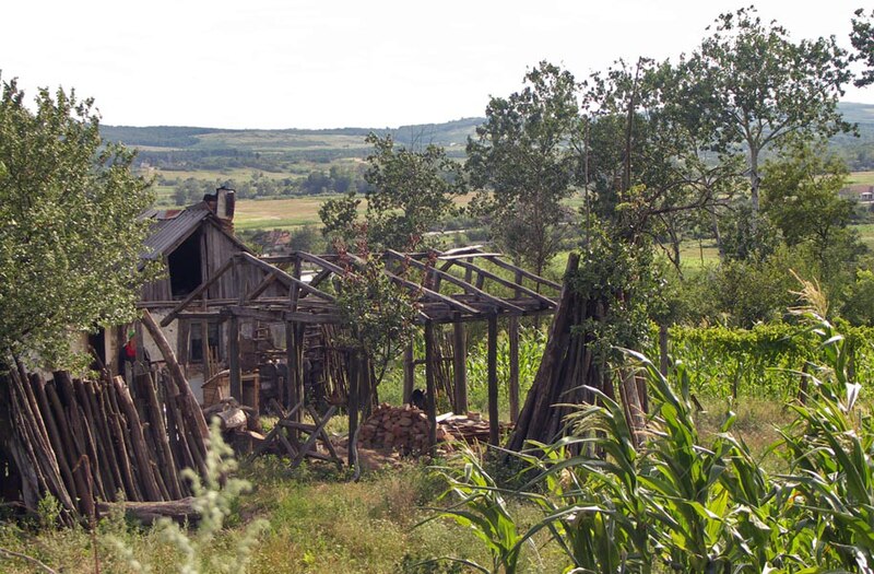 Fișier:Butoiesti.structura de lemn.jpg