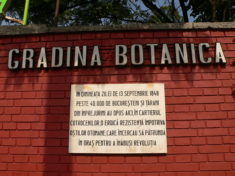 Fișier:Grădina Botanică-2.JPG