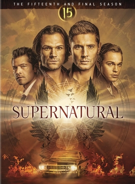 Обложка DVD-издания 15-го сезона