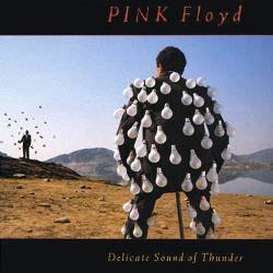 Обложка альбома Pink Floyd «Delicate Sound of Thunder» (1988)