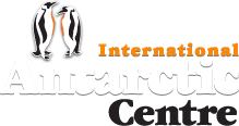 Файл:International Antarctic Centre.png