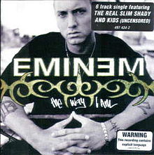 Обложка сингла Эминема «The Way I Am» (2000)