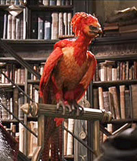 http://upload.wikimedia.org/wikipedia/ru/a/a2/Fawkes.jpg