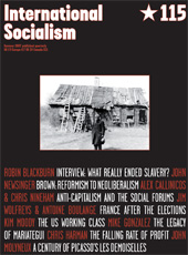 115-й номер журнала «International Socialism», лето 2007 года