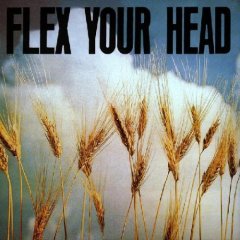 Обложка альбома VA «Flex Your Head» (1982)