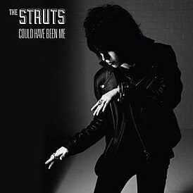 Обложка сингла The Struts «Could Have Been Me» ()