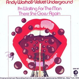 Обложка песни The Velvet Underground «There She Goes Again»