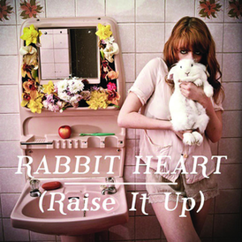 Обложка сингла Florence and the Machine «Rabbit Heart (Raise It Up)» (2009)