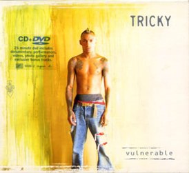 Обложка альбома Tricky «Vulnerable» (2003)