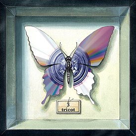 Обложка альбома Tricot «3» (2017)