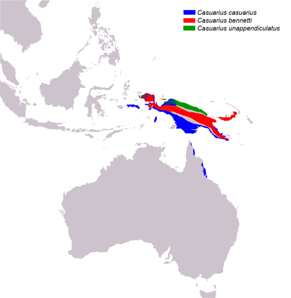 Файл:Cassowary distribution map.png