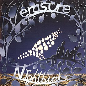 Обложка альбома Erasure «Nightbird» (2005)