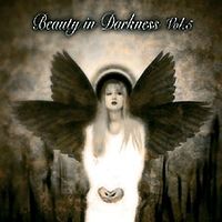 Обложка видео «Beauty in Darkness»