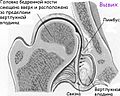 Миниатюра для версии от 14:33, 29 марта 2009