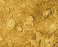 Радиоизображение лакуны Атакама (в центре), основанное на данных космического аппарата «Кассини-Гюйгенс» (псевдоцвета)