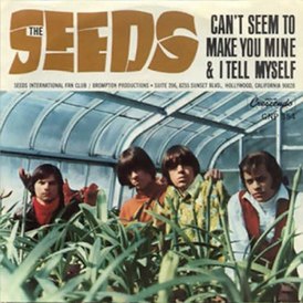 Обложка сингла The Seeds «Can’t Seem to Make You Mine» (1965)