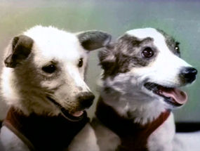 http://upload.wikimedia.org/wikipedia/ru/thumb/a/a5/Belka_and_Strelka.Space_Dogs.Real-i.jpg/285px-Belka_and_Strelka.Space_Dogs.Real-i.jpg