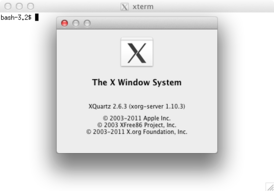 Скриншот программы The X Window System (X11)