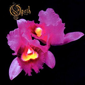 Обложка альбома Opeth «Orchid» (1995)