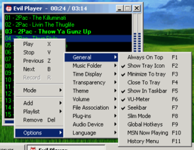 Скриншот программы Evil Player