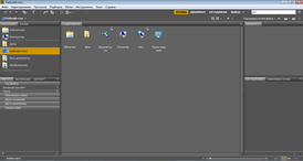 Скриншот программы Adobe Bridge