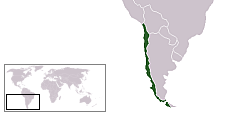 File:LocationChile.png