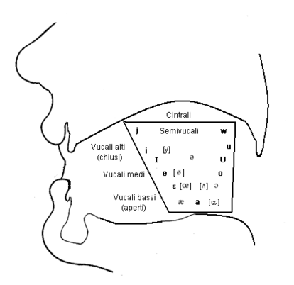 File:Trapèzziu vucàlicu 3.png