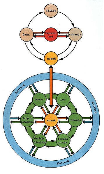 Datoteka:Ant-bio-socio.jpg