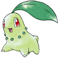 Chikorita