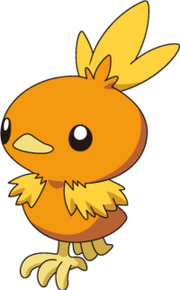 Torchic