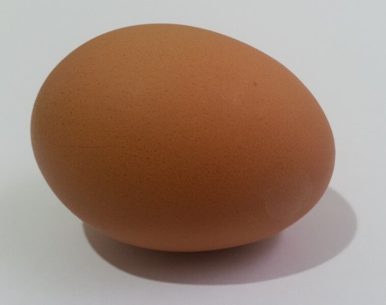 ගොනුව:Chicken Egg.jpg