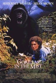 Slika:Gorillas In The Mist.jpg