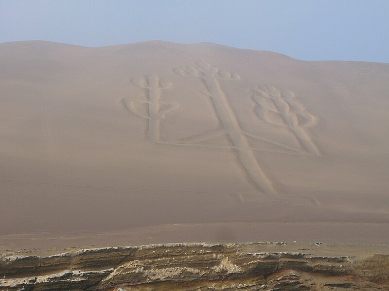 Slika:65 Paracas Islas Ballestras (11).jpg