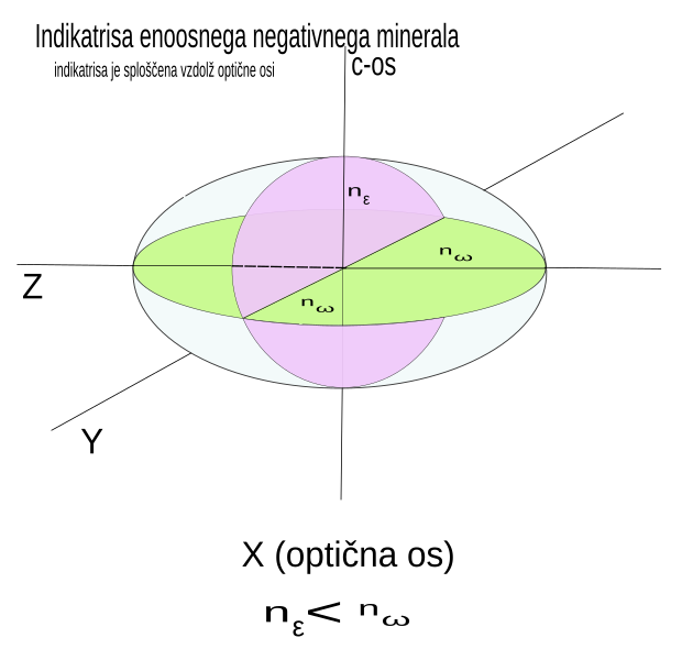Slika:Indikatrisa neg.svg