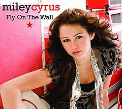 “Fly on the Wall” cover