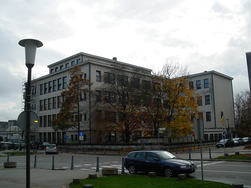 Slika:Gimnazija Bežigrad, november 2008.jpg