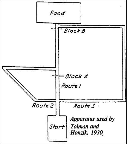 Skeda:Labyrinthe.de.tolman.et.honzik.thi-12.jpg