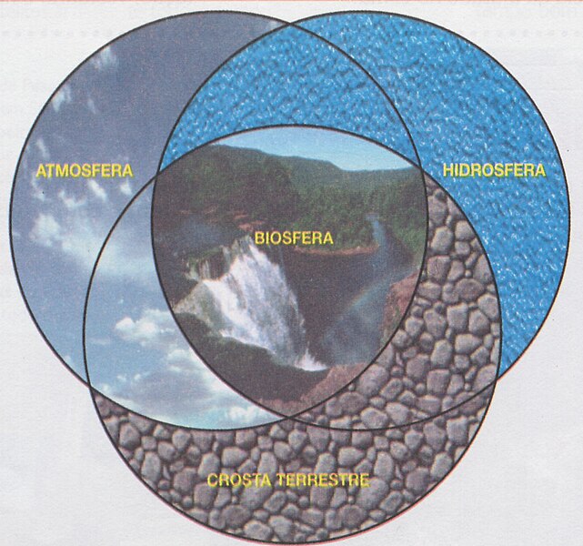 Skeda:Biosfera figura2.jpg