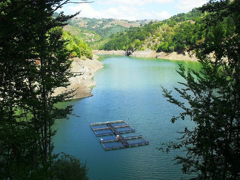 Датотека:Lisinsko jezero.JPG