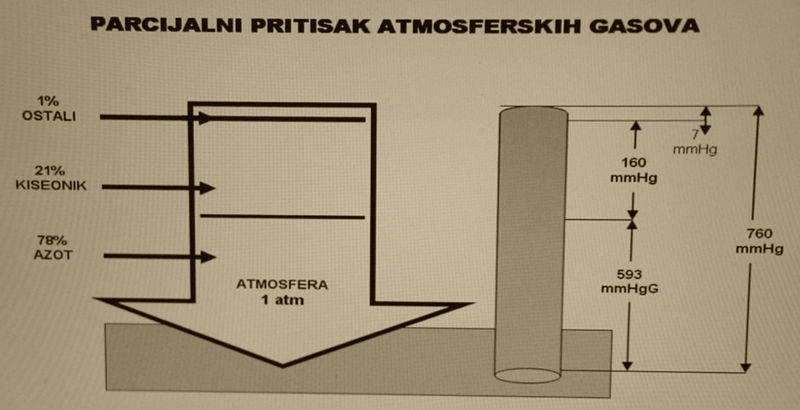 Датотека:Parcijalni pritisak atmosferskih gasova.JPG