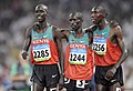 Picha ndogo ya toleo la 17:59, 13 Januari 2010