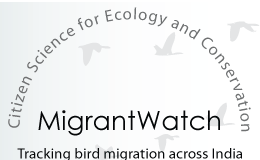 படிமம்:Migrantwatch.png